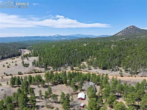 Tiny photo for 1360 Kiowa Road, Florissant, CO 80816 (MLS # 2538364)