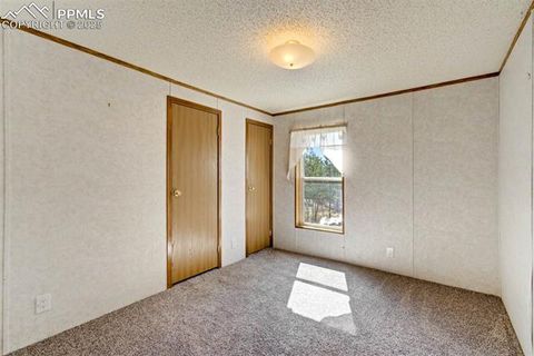 Tiny photo for 1360 Kiowa Road, Florissant, CO 80816 (MLS # 2538364)