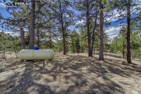 Tiny photo for 1360 Kiowa Road, Florissant, CO 80816 (MLS # 2538364)