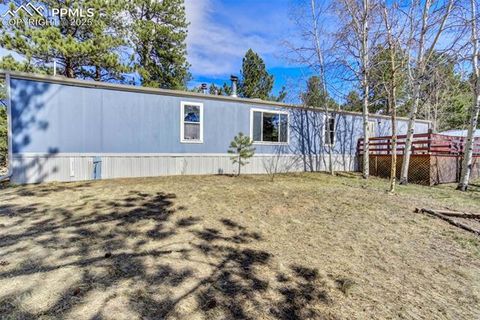 Tiny photo for 1360 Kiowa Road, Florissant, CO 80816 (MLS # 2538364)
