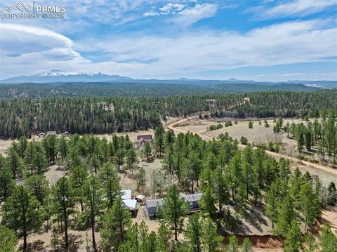 Tiny photo for 1360 Kiowa Road, Florissant, CO 80816 (MLS # 2538364)