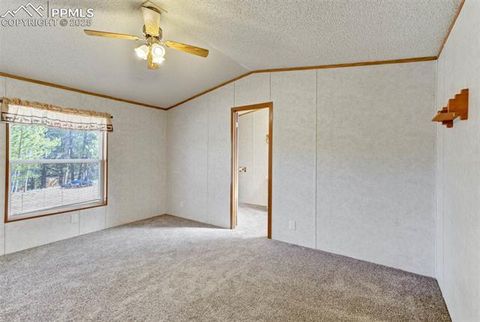 Tiny photo for 1360 Kiowa Road, Florissant, CO 80816 (MLS # 2538364)