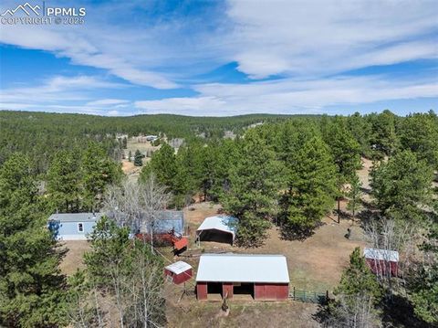 Tiny photo for 1360 Kiowa Road, Florissant, CO 80816 (MLS # 2538364)