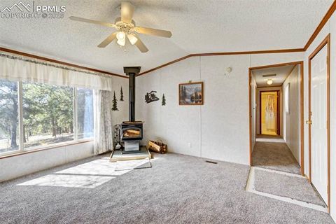Tiny photo for 1360 Kiowa Road, Florissant, CO 80816 (MLS # 2538364)