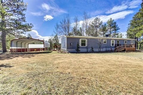 Photo of 1360 Kiowa Road, Florissant, CO 80816 (MLS # 2538364)