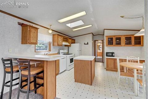 Tiny photo for 1360 Kiowa Road, Florissant, CO 80816 (MLS # 2538364)