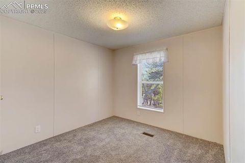 Tiny photo for 1360 Kiowa Road, Florissant, CO 80816 (MLS # 2538364)
