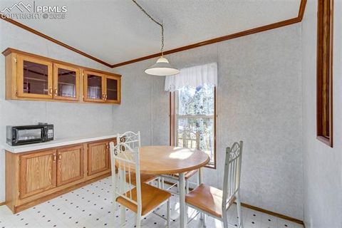 Tiny photo for 1360 Kiowa Road, Florissant, CO 80816 (MLS # 2538364)