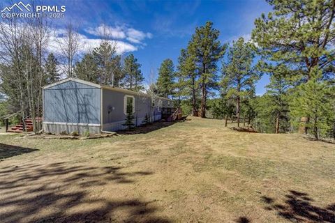 Tiny photo for 1360 Kiowa Road, Florissant, CO 80816 (MLS # 2538364)