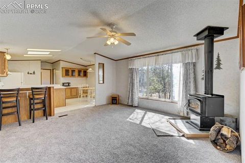 Tiny photo for 1360 Kiowa Road, Florissant, CO 80816 (MLS # 2538364)