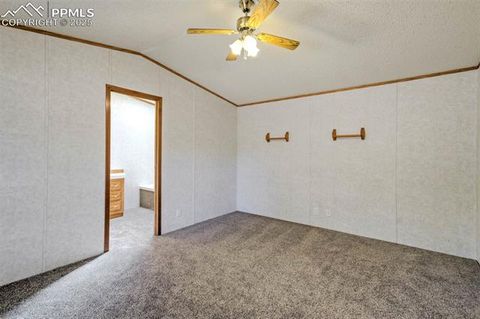 Tiny photo for 1360 Kiowa Road, Florissant, CO 80816 (MLS # 2538364)