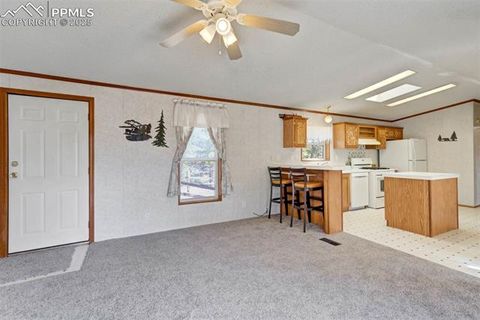 Tiny photo for 1360 Kiowa Road, Florissant, CO 80816 (MLS # 2538364)