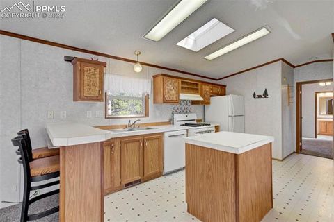 Tiny photo for 1360 Kiowa Road, Florissant, CO 80816 (MLS # 2538364)