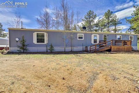 Tiny photo for 1360 Kiowa Road, Florissant, CO 80816 (MLS # 2538364)