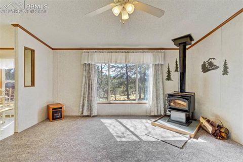 Tiny photo for 1360 Kiowa Road, Florissant, CO 80816 (MLS # 2538364)