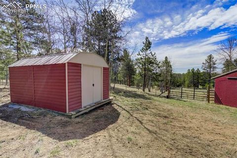 Tiny photo for 1360 Kiowa Road, Florissant, CO 80816 (MLS # 2538364)
