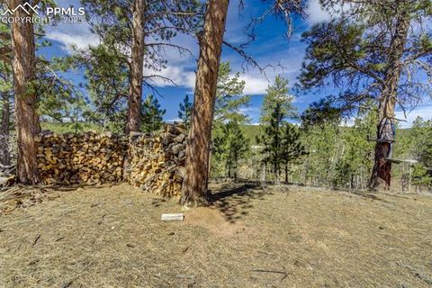 Tiny photo for 1360 Kiowa Road, Florissant, CO 80816 (MLS # 2538364)