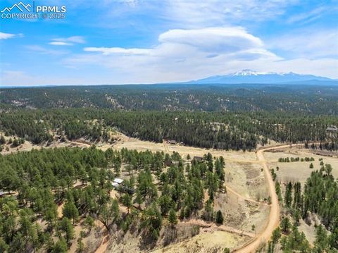 Tiny photo for 1360 Kiowa Road, Florissant, CO 80816 (MLS # 2538364)