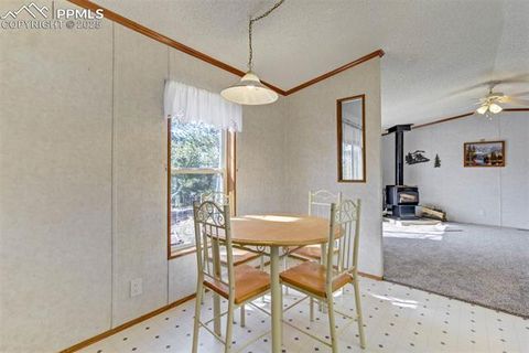 Tiny photo for 1360 Kiowa Road, Florissant, CO 80816 (MLS # 2538364)