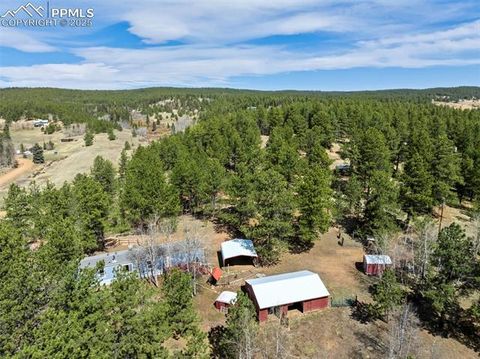 Tiny photo for 1360 Kiowa Road, Florissant, CO 80816 (MLS # 2538364)