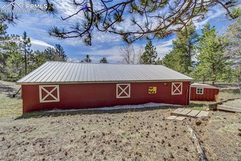 Tiny photo for 1360 Kiowa Road, Florissant, CO 80816 (MLS # 2538364)