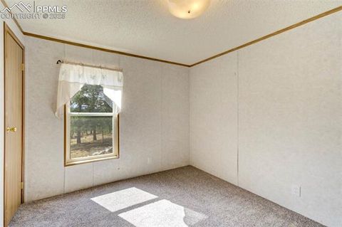Tiny photo for 1360 Kiowa Road, Florissant, CO 80816 (MLS # 2538364)
