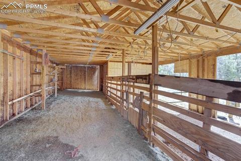 Tiny photo for 1360 Kiowa Road, Florissant, CO 80816 (MLS # 2538364)