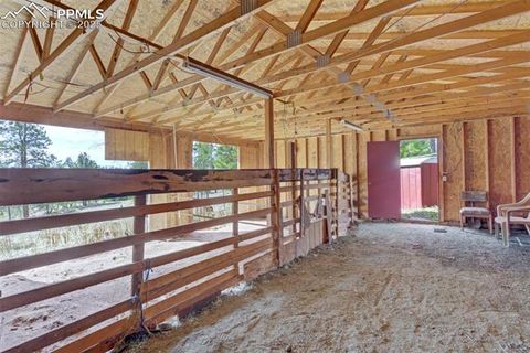 Tiny photo for 1360 Kiowa Road, Florissant, CO 80816 (MLS # 2538364)