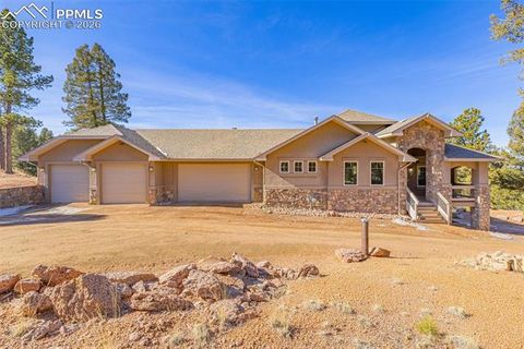 Photo of 2638 N Mountain Estates Road, Florissant, CO 80816 (MLS # 4159928)