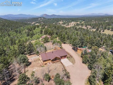 4269 County Road 51 Divide CO 80814