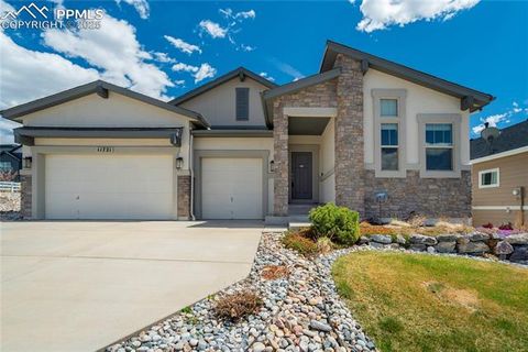 11721 Spectacular Bid Circle Colorado Springs CO 80921