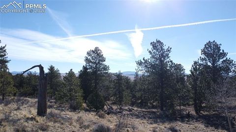 Photo of 52 Bit Way, Hartsel, CO 80449 (MLS # 7280549)