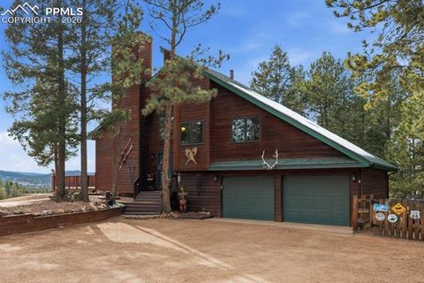 Photo of 2740 Sunnywood Avenue, Woodland Park, CO 80863 (MLS # 6998761)