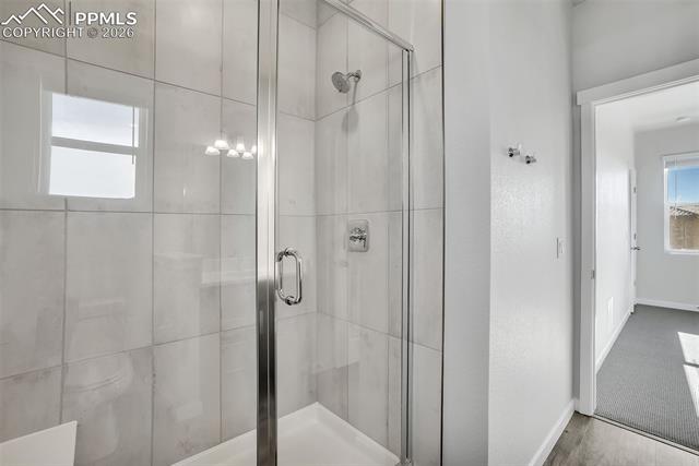 13641 Frost Bitten Grove