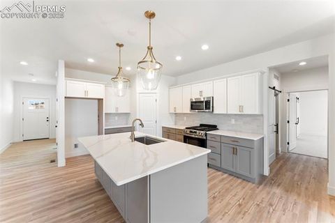 Tiny photo for 187 High Meadows Drive, Florence, CO 81226 (MLS # 8024725)