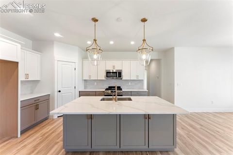 Tiny photo for 187 High Meadows Drive, Florence, CO 81226 (MLS # 8024725)