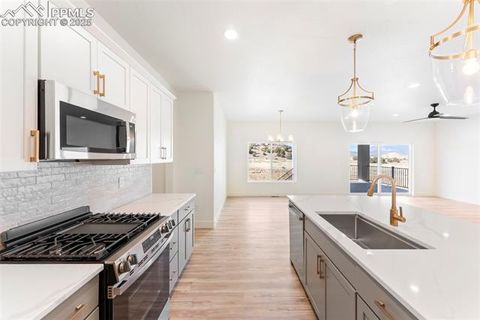 Tiny photo for 187 High Meadows Drive, Florence, CO 81226 (MLS # 8024725)