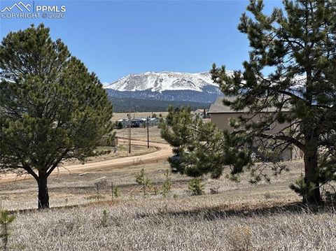 Photo of 333 Golden Grain Lane, Divide, CO 80814 (MLS # 7477526)