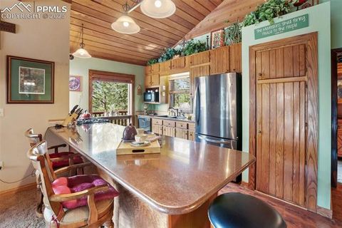 Tiny photo for 381 Saddleback Creek Drive, Florissant, CO 80816 (MLS # 1405157)