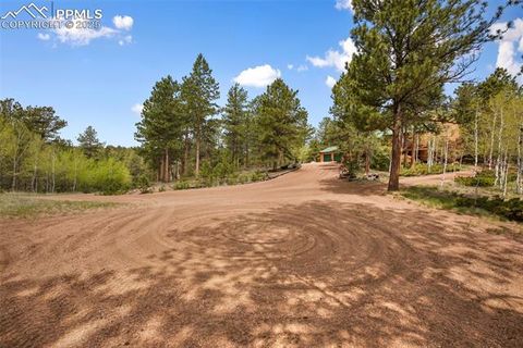 Tiny photo for 381 Saddleback Creek Drive, Florissant, CO 80816 (MLS # 1405157)