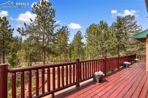 Tiny photo for 381 Saddleback Creek Drive, Florissant, CO 80816 (MLS # 1405157)
