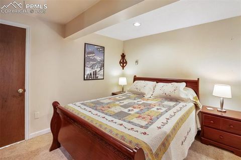Tiny photo for 381 Saddleback Creek Drive, Florissant, CO 80816 (MLS # 1405157)