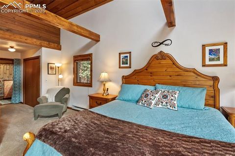 Tiny photo for 381 Saddleback Creek Drive, Florissant, CO 80816 (MLS # 1405157)