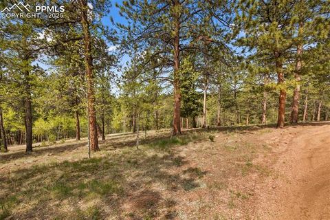 Tiny photo for 381 Saddleback Creek Drive, Florissant, CO 80816 (MLS # 1405157)