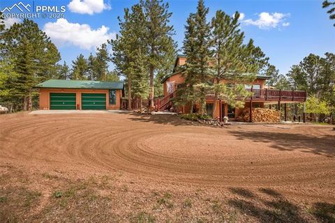 381 Saddleback Creek Drive Florissant CO 80816