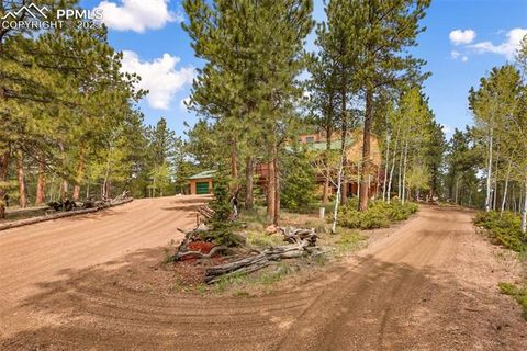 Tiny photo for 381 Saddleback Creek Drive, Florissant, CO 80816 (MLS # 1405157)