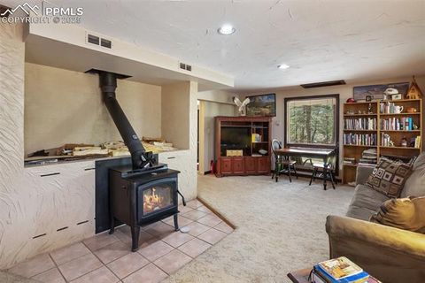 Tiny photo for 381 Saddleback Creek Drive, Florissant, CO 80816 (MLS # 1405157)