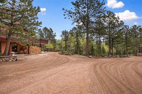 Tiny photo for 381 Saddleback Creek Drive, Florissant, CO 80816 (MLS # 1405157)