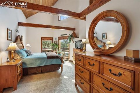 Tiny photo for 381 Saddleback Creek Drive, Florissant, CO 80816 (MLS # 1405157)