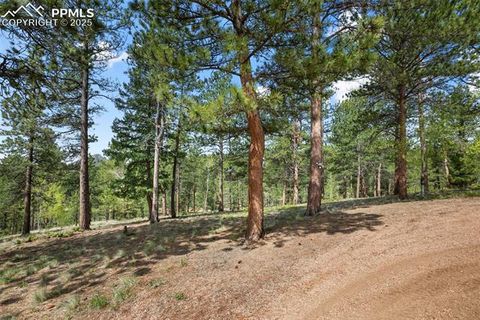 Tiny photo for 381 Saddleback Creek Drive, Florissant, CO 80816 (MLS # 1405157)